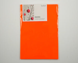 Paper Decorations - in 5 colours