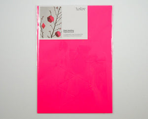 Paper Decorations - in 5 colours