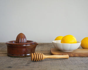 Vintage Citrus Squeezer - Mixed Brown